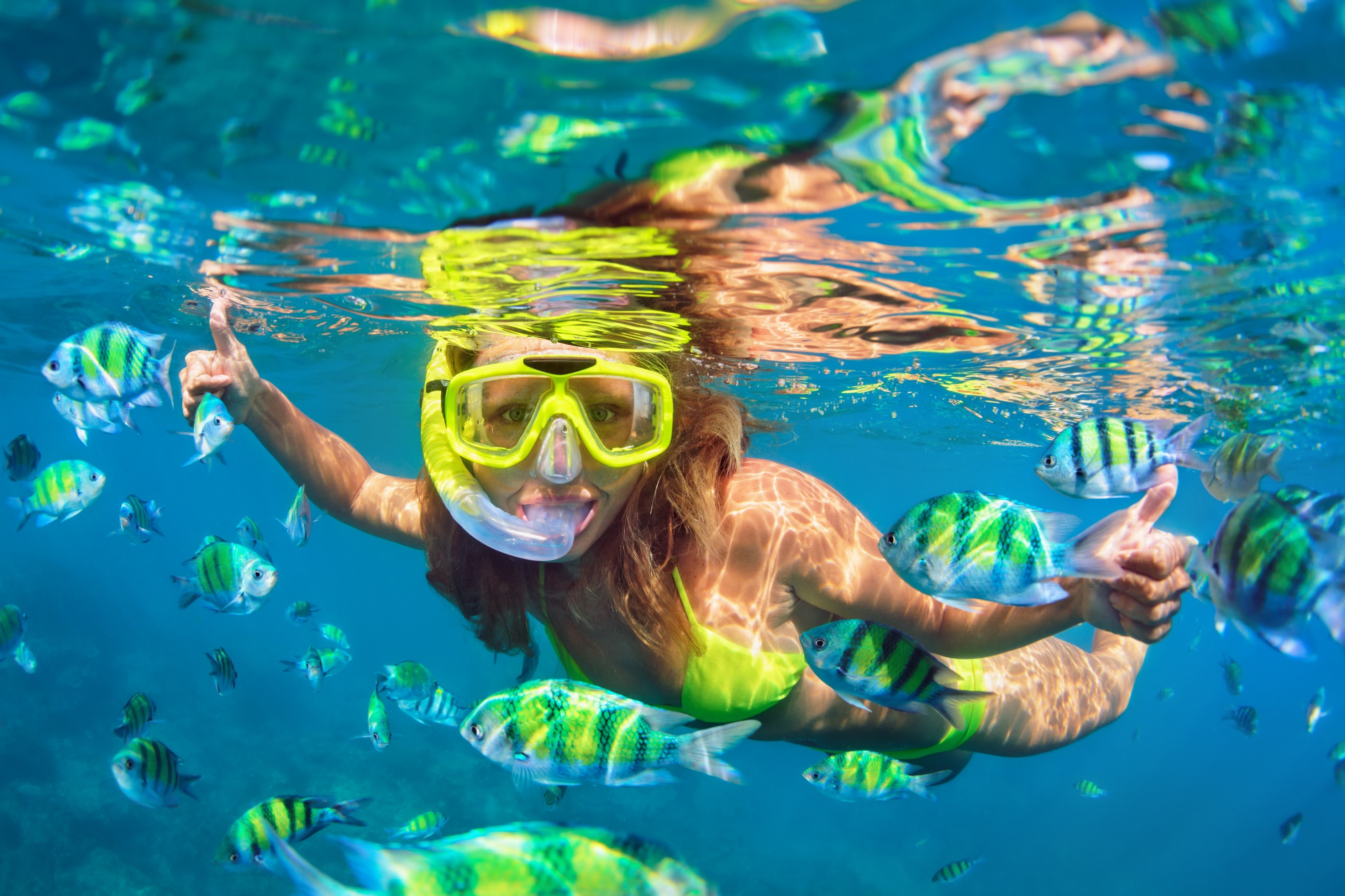 Discovering the underwater world of Thailand