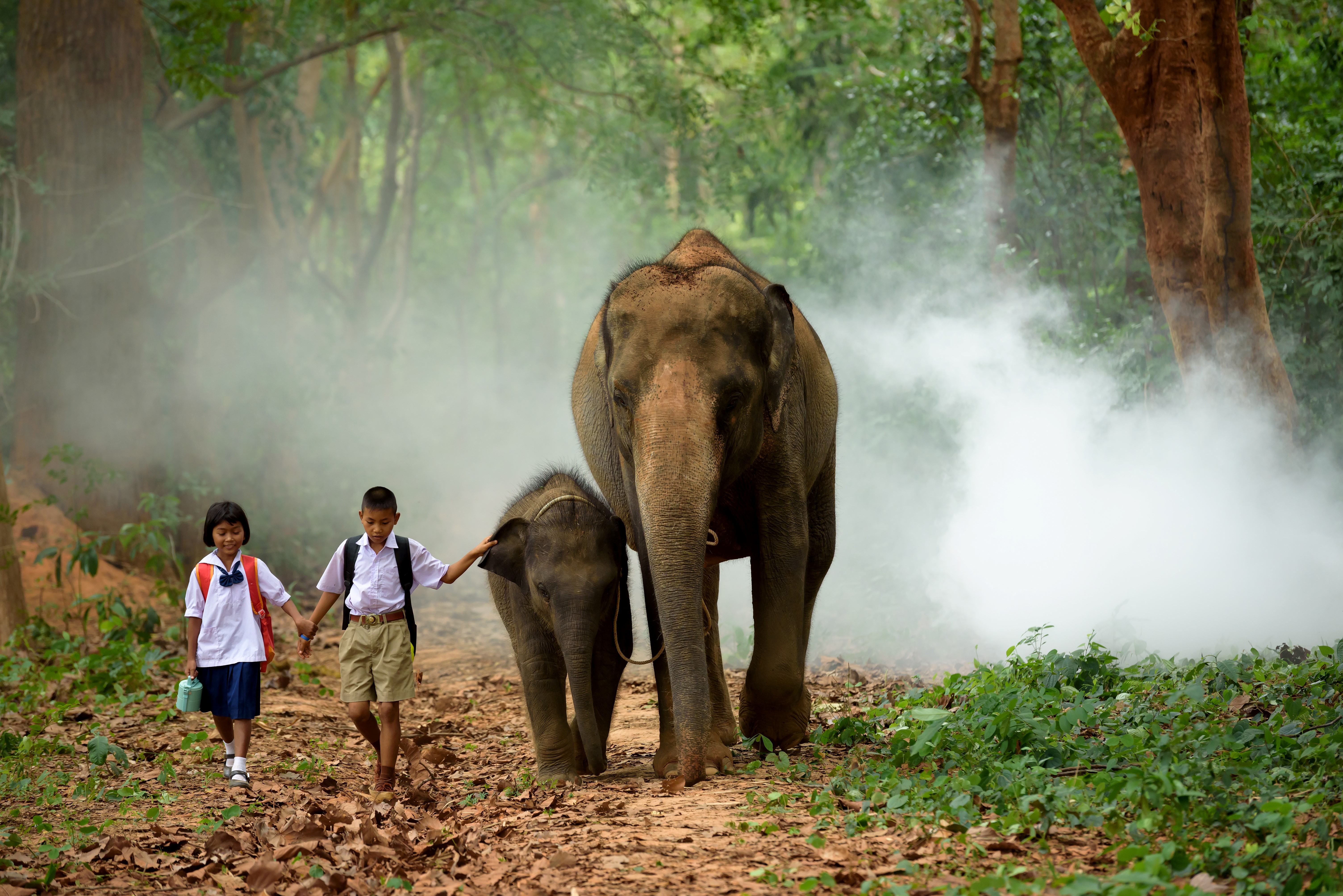 family things to do in thailand