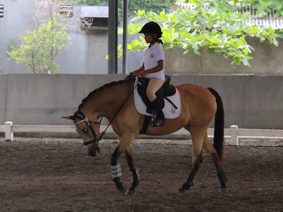 A trip to Bali Equestrian Centre (BEC) is perfect for a day when kids want to out and do an activity while mum and dad relax on the side lines. Image: www.facebook.com/BaliEquestrianCentre