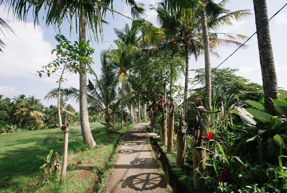 Campuhan Ridge is not only a spectacular piece of natural beauty but a haven away from the commotion of Bali’s more popular tourist spots. Image: Tripadvisor