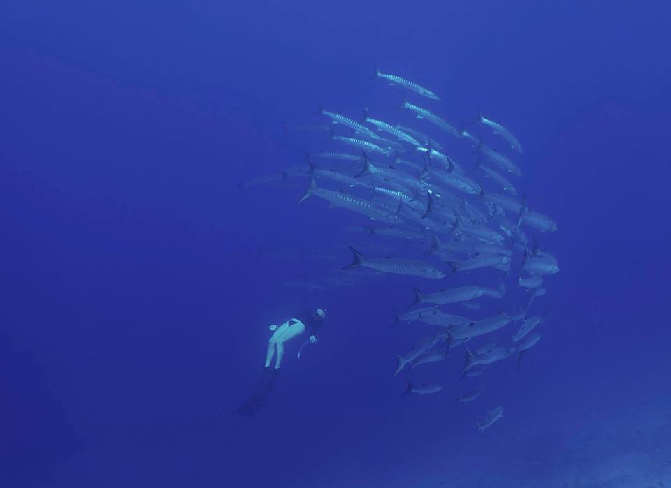 Attendees at Apneista can combine yoga classes with unforgettable freediving courses. Image: www.facebook.com/apneista