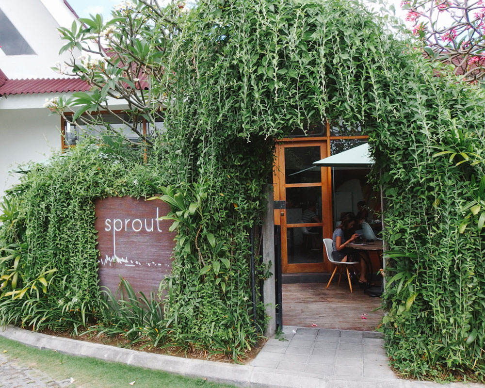 healthy food spots in Bali