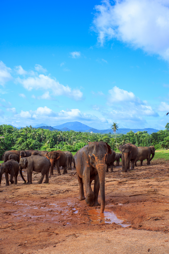 10 pictures that will inspire you to travel sri lanka