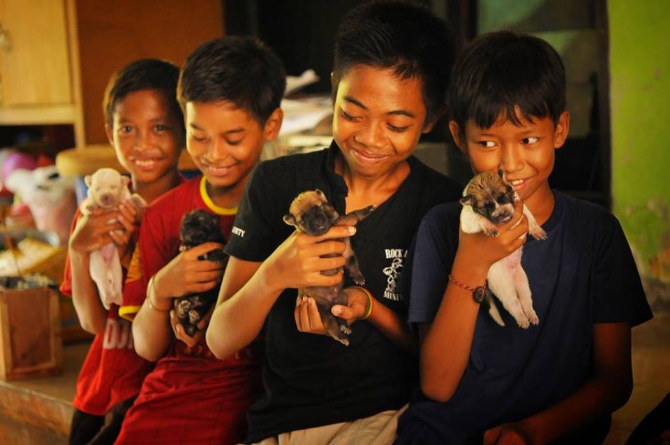 animal conservation projects in Asia