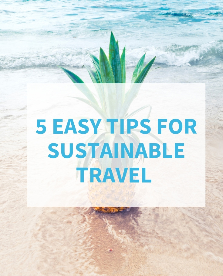 tips for sustainable travel in 2019