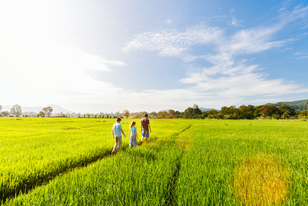 Are you feeling inspired for your family vacation in Sri Lanka?