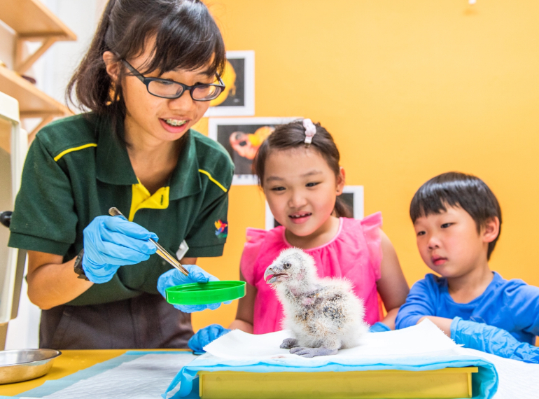 Celebrate Easter in Asia by meeting some baby birds with your little ones!