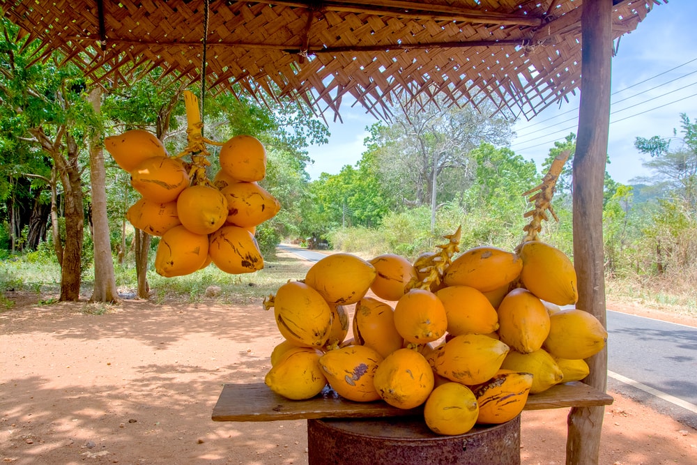 For healthy and authentic food in Sri Lanka, the king coconut is a must! 